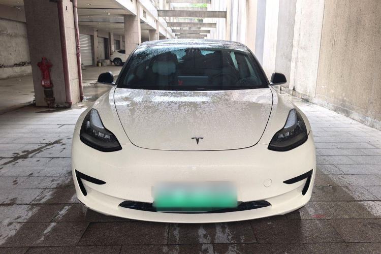 Used Tesla Model 3 2020 Standard Range Rear-Wheel Drive Upgraded Version Exterior 1