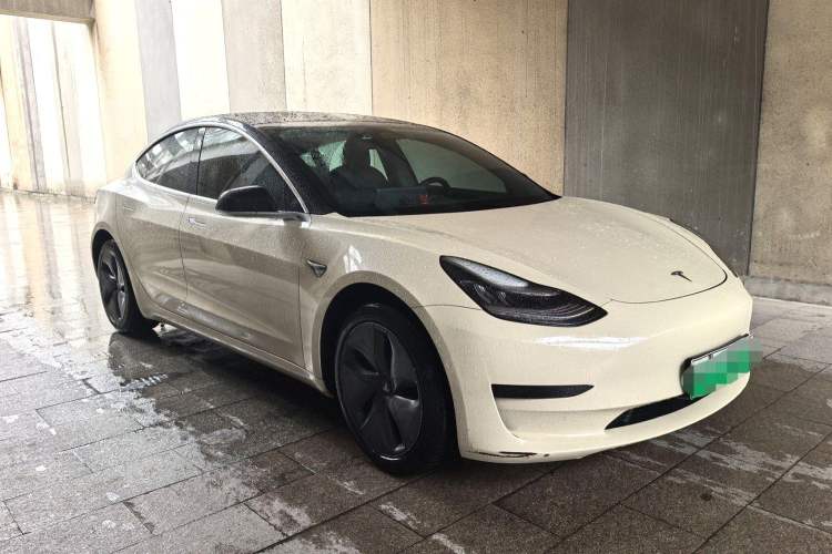 Used Tesla Model 3 2020 Standard Range Rear-Wheel Drive Upgraded Version Exterior 3