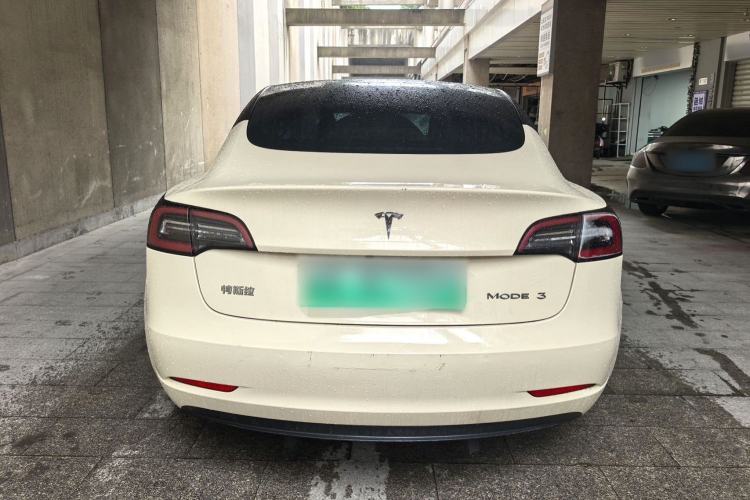 Used Tesla Model 3 2020 Standard Range Rear-Wheel Drive Upgraded Version Exterior 5