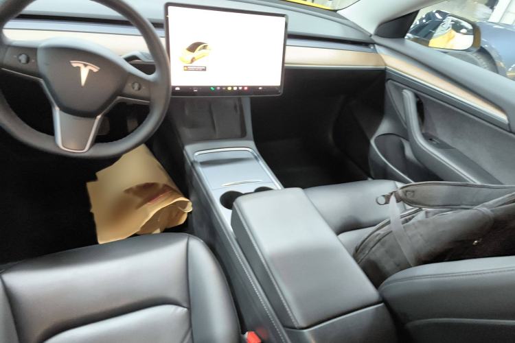 Used Tesla Model 3 2020 Revised Version Standard Range Rear-Wheel Drive – Upgraded Edition Gear Lever