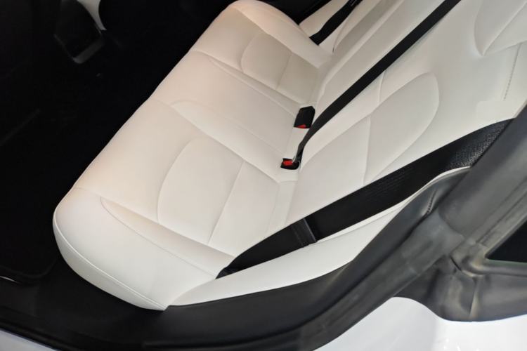Used Tesla Model 3 2020 Revised Version Standard Range Rear-Wheel Drive – Upgraded Edition Left Rear Seat