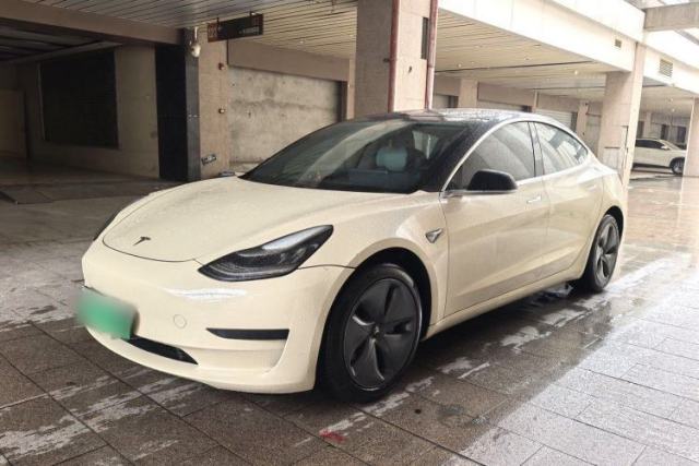 Used Tesla Model 3 2020 Standard Range Rear-Wheel Drive Upgraded Version