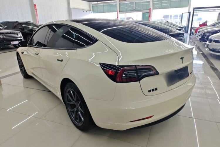 Used Tesla Model 3 2020 Revised Version Standard Range Rear-Wheel Drive – Upgraded Edition Rear Left 45 Deg