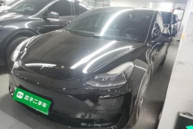 Used Tesla Model 3 2021 Revised Version Standard Range Rear-Wheel Drive Upgraded Edition 3D1