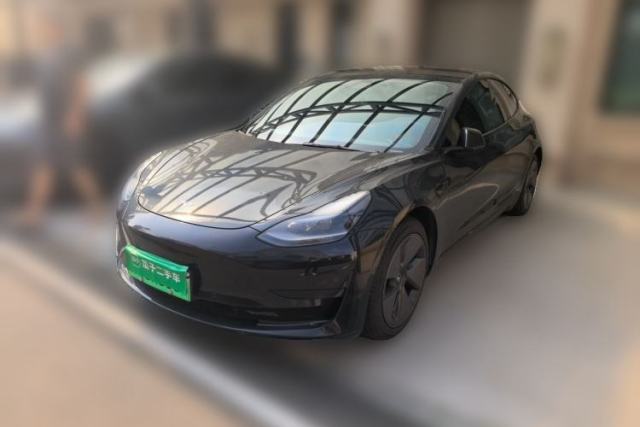 Tesla Model 3 2021 Standard Range Rear-Drive Upgraded Version usado