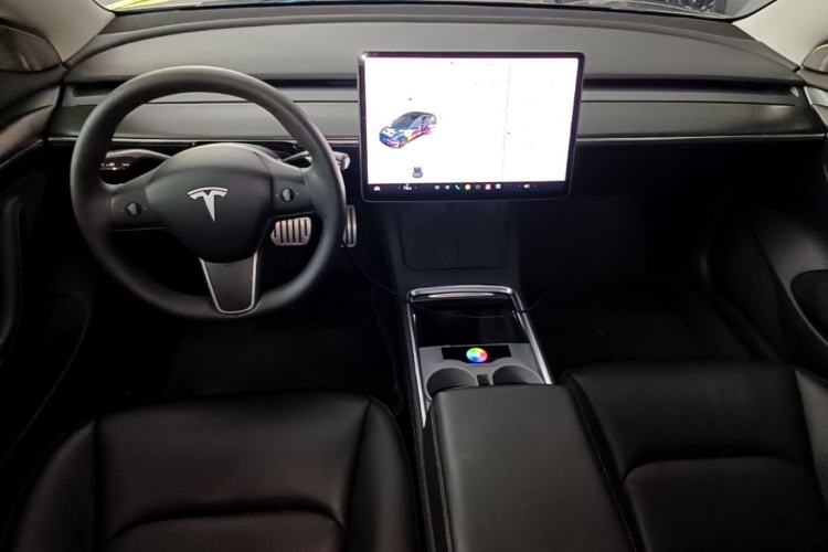 Used Tesla Model 3 2021 Performance High-Performance All-Wheel-Drive Version Center Console