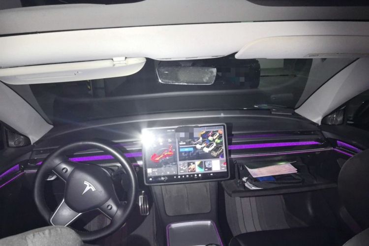 Used Tesla Model 3 2021 Performance High-Performance All-Wheel-Drive Version Center Console