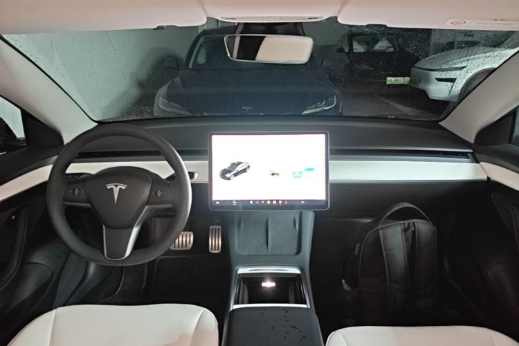 Used Tesla Model 3 2021 Performance High-Performance All-Wheel-Drive Version 3D6 Center Console