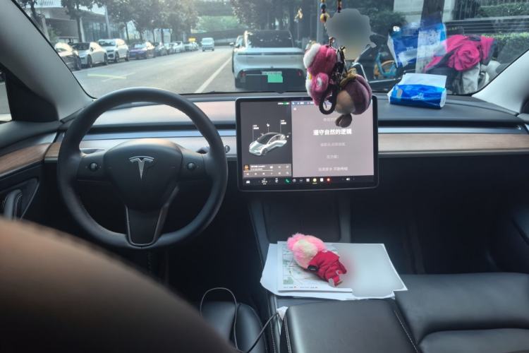 Used Tesla Model 3 2021 Revised Version Standard Range Rear-Wheel Drive Upgraded Edition 3D1 Center Console