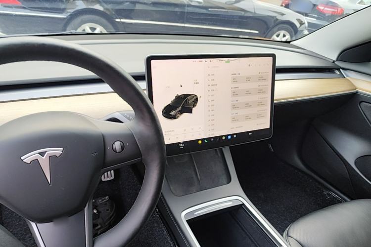 Used Tesla Model 3 2021 Performance High-Performance All-Wheel-Drive Version Center Console