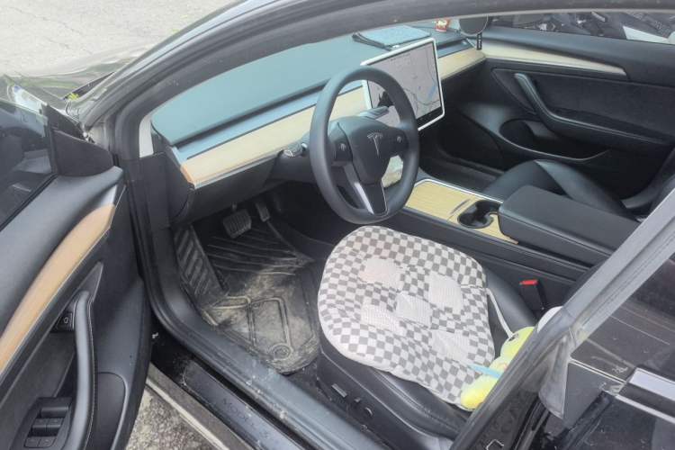 Used Tesla Model 3 2021 Standard Range Rear-Drive Upgraded Version Driver Seat