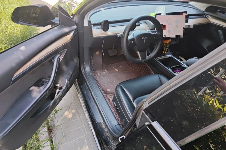 Used Tesla Model 3 2021 Revised Version Standard Range Rear-Wheel Drive Upgraded Edition 3D1 Driver Seat