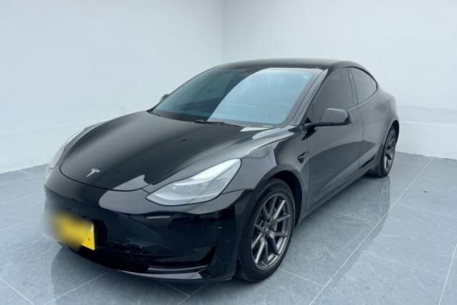Used Tesla Model 3 2021 Standard Range Rear-Wheel Drive Upgraded Version 3D6