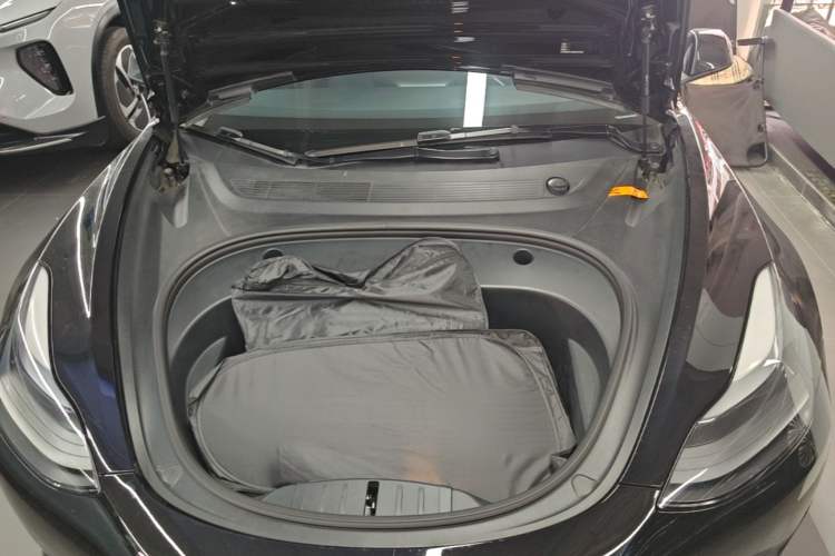 Used Tesla Model 3 2021 Standard Range Rear-Wheel Drive Upgraded Version 3D6 Engine Bay