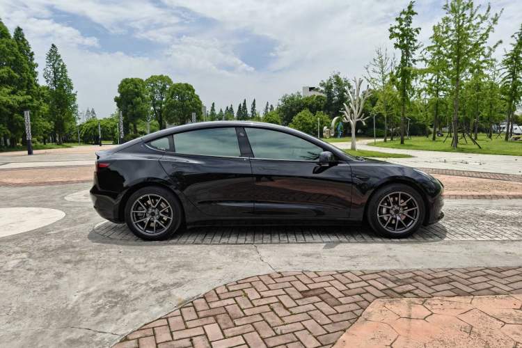 Used Tesla Model 3 2021 Standard Range Rear-Wheel Drive Upgraded Version 3D6 Exterior 1