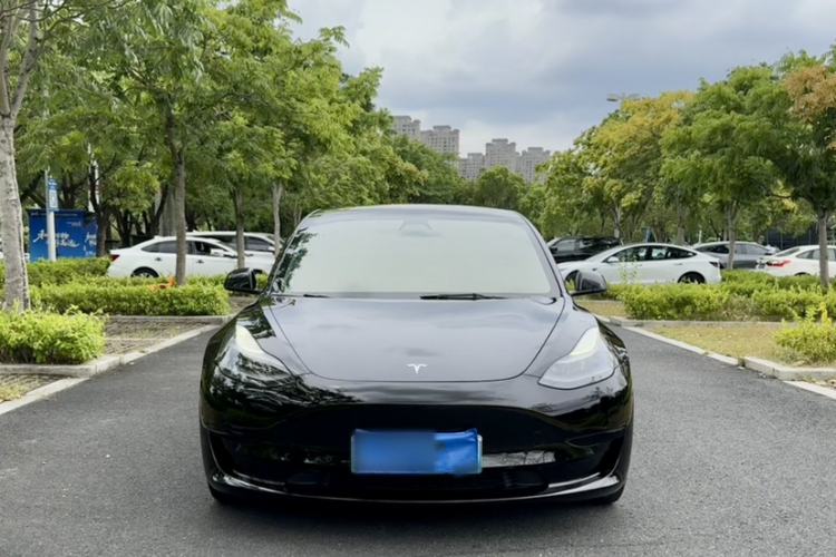 Used Tesla Model 3 2021 Standard Range Rear-Wheel Drive Upgraded Version 3D6 Exterior 1