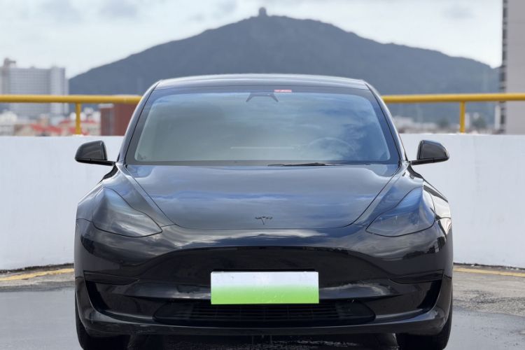 Used Tesla Model 3 2021 Standard Range Rear-Drive Upgraded Version Exterior 1