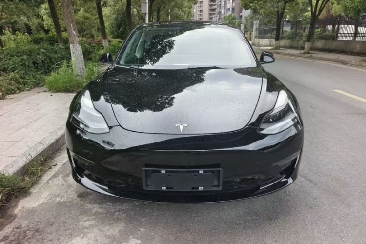 Used Tesla Model 3 2021 Performance High-Performance All-Wheel-Drive Version Exterior 2
