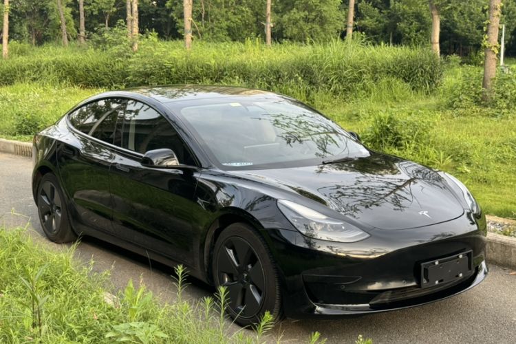 Used Tesla Model 3 2021 Standard Range Rear-Wheel Drive Upgraded Version 3D6 Exterior 2