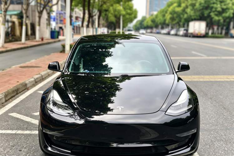 Used Tesla Model 3 2021 Revised Performance Version with All-Wheel Drive 3D1 Exterior 2