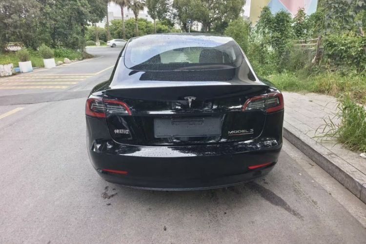 Used Tesla Model 3 2021 Performance High-Performance All-Wheel-Drive Version Exterior 3