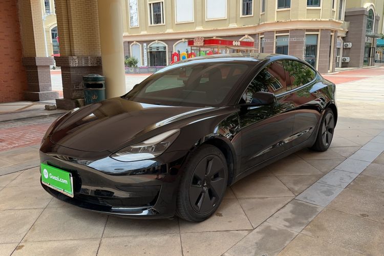 Used Tesla Model 3 2021 Standard Range Rear-Drive Upgraded Version Exterior 3