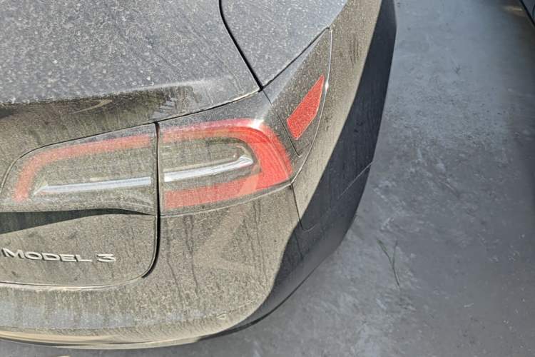 Used Tesla Model 3 2021 Standard Range Rear-Drive Upgraded Version Exterior 3