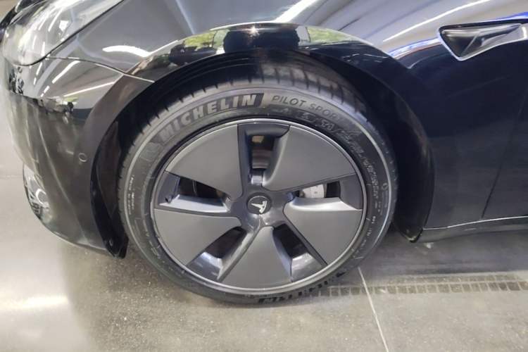 Used Tesla Model 3 2021 Standard Range Rear-Drive Upgraded Version Exterior 4