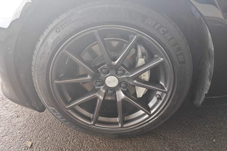 Used Tesla Model 3 2021 Standard Range Rear-Drive Upgraded Version Exterior 4
