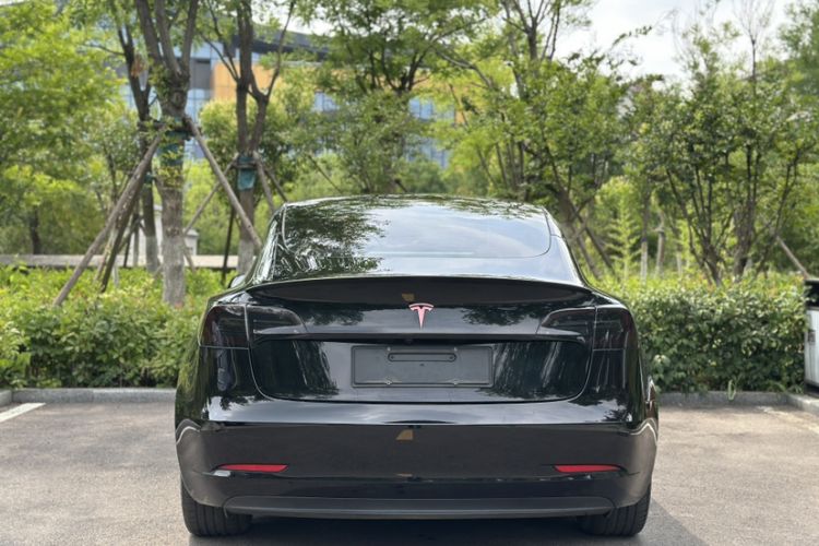 Used Tesla Model 3 2021 Standard Range Rear-Drive Upgraded Version Exterior 4
