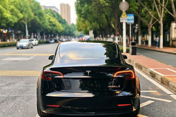 Used Tesla Model 3 2021 Revised Performance Version with All-Wheel Drive 3D1 Exterior 4