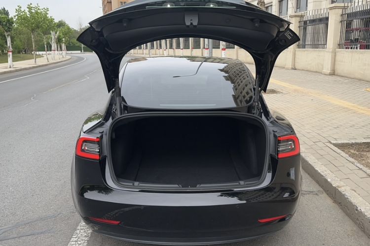 Used Tesla Model 3 2021 Performance High-Performance All-Wheel-Drive Version Exterior 5
