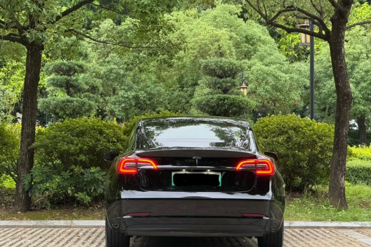 Used Tesla Model 3 2021 Standard Range Rear-Wheel Drive Upgraded Version 3D6 Exterior 5
