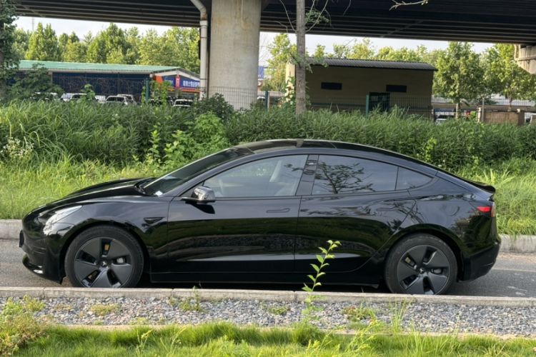 Used Tesla Model 3 2021 Standard Range Rear-Wheel Drive Upgraded Version 3D6 Exterior 5