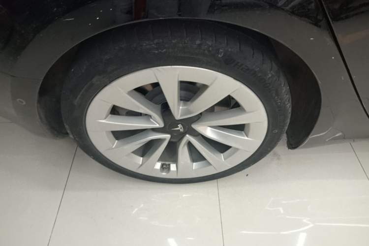 Used Tesla Model 3 2021 Standard Range Rear-Drive Upgraded Version Exterior 5