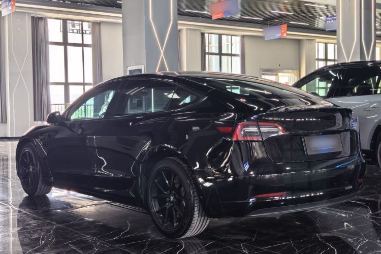 Used Tesla Model 3 2021 Standard Range Rear-Wheel Drive Upgraded Version 3D6 Exterior 5