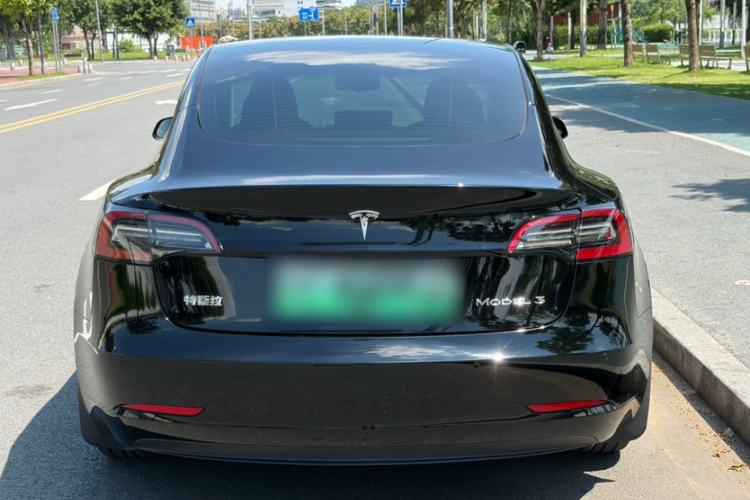 Used Tesla Model 3 2021 Standard Range Rear-Drive Upgraded Version Exterior 6
