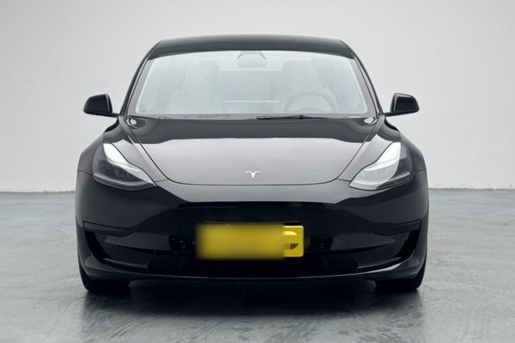 Used Tesla Model 3 2021 Standard Range Rear-Wheel Drive Upgraded Version 3D6 Exterior 6