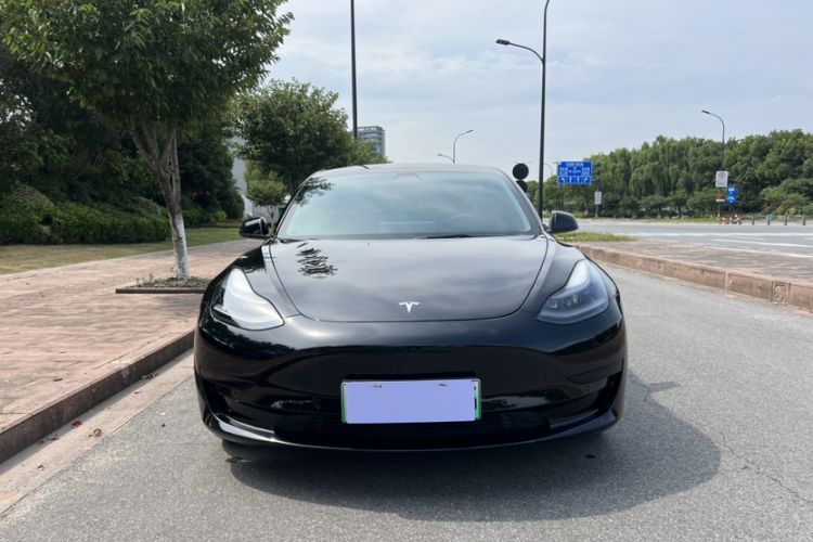 Used Tesla Model 3 2021 Standard Range Rear-Wheel Drive Upgraded Version 3D6 Exterior 6
