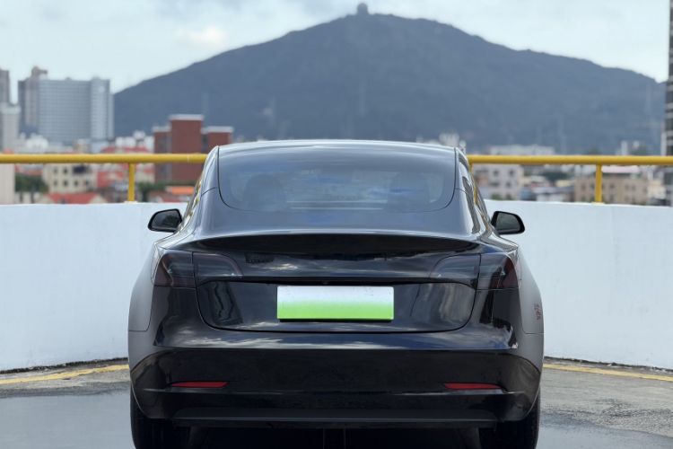 Used Tesla Model 3 2021 Standard Range Rear-Drive Upgraded Version Exterior 6