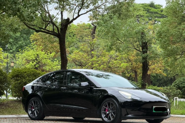 Used Tesla Model 3 2021 Standard Range Rear-Wheel Drive Upgraded Version 3D6 Exterior 7