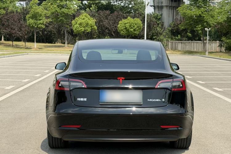 Used Tesla Model 3 2021 Standard Range Rear-Drive Upgraded Version Exterior 7