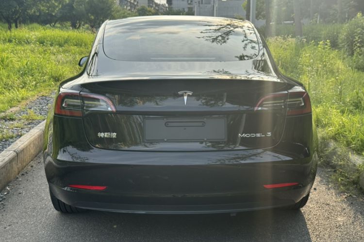Used Tesla Model 3 2021 Standard Range Rear-Wheel Drive Upgraded Version 3D6 Exterior 8