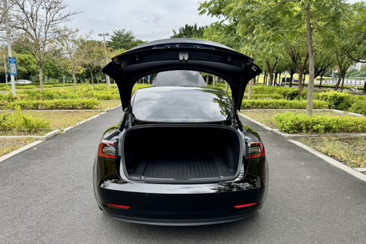 Used Tesla Model 3 2021 Standard Range Rear-Wheel Drive Upgraded Version 3D6 Exterior 8