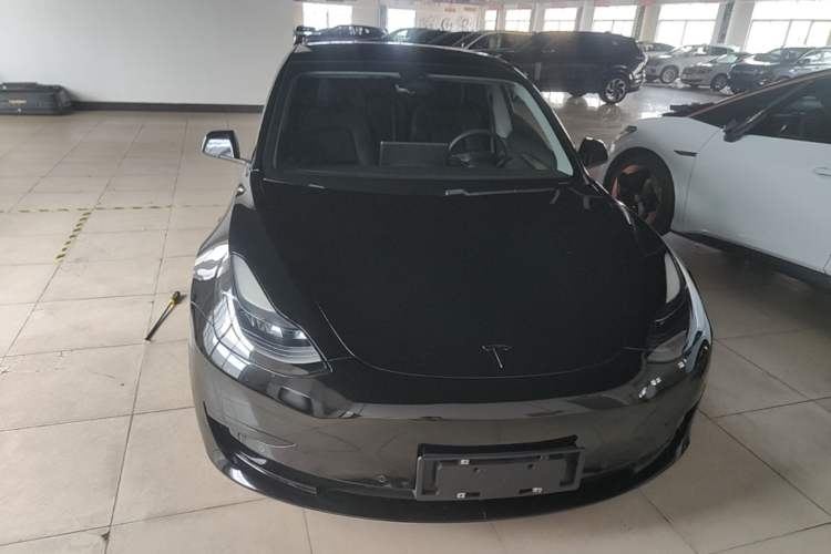 Used Tesla Model 3 2021 Standard Range Rear-Drive Upgraded Version Front