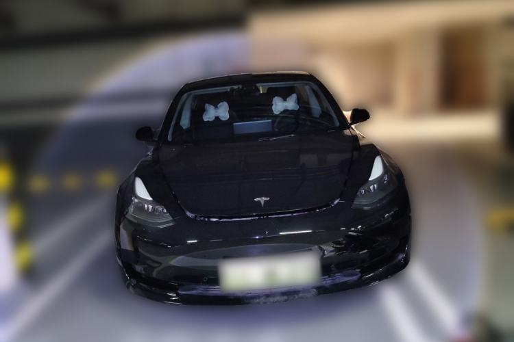 Used Tesla Model 3 2021 Standard Range Rear-Wheel Drive Upgraded Version 3D6 Front