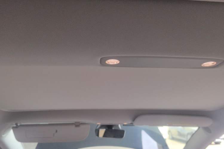 Used Tesla Model 3 2021 Standard Range Rear-Drive Upgraded Version Headliner