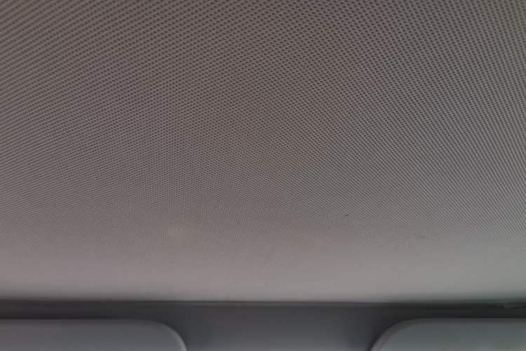 Used Tesla Model 3 2021 Revised Version Standard Range Rear-Wheel Drive Upgraded Edition 3D1 Headliner