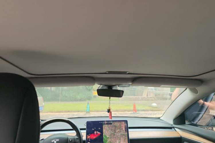Used Tesla Model 3 2021 Standard Range Rear-Wheel Drive Upgraded Version 3D6 Headliner