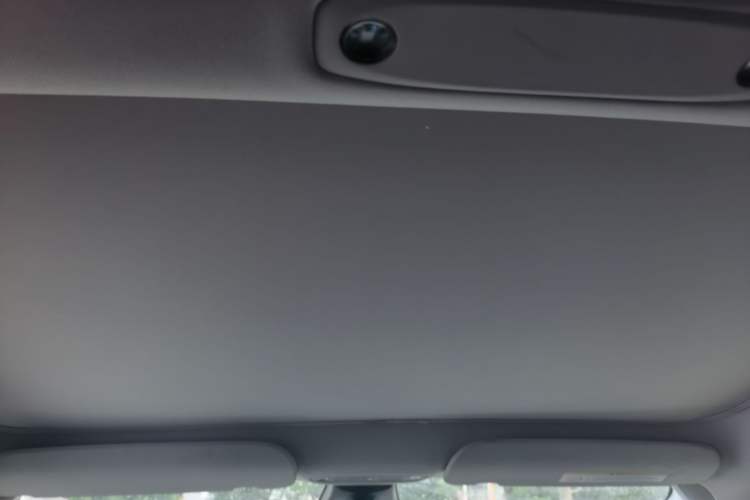 Used Tesla Model 3 2021 Standard Range Rear-Drive Upgraded Version Headliner